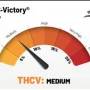 Насіння конопель Auto THC-Victory® від Dutch Passion